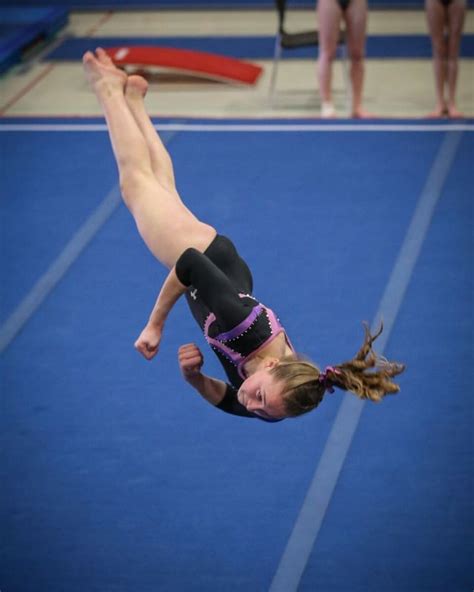 Understanding The 5 Different Types Of Gymnastics