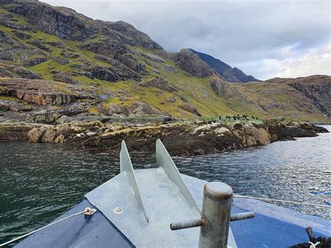 Misty Isle Boat Trips Elgol 2020 All You Need To Know Before You Go