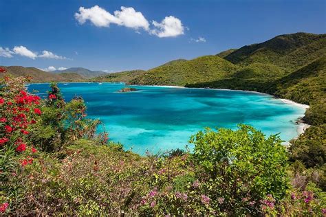 15 Amazing Things To Do In Saint John Us Virgin Islands Map And Tips