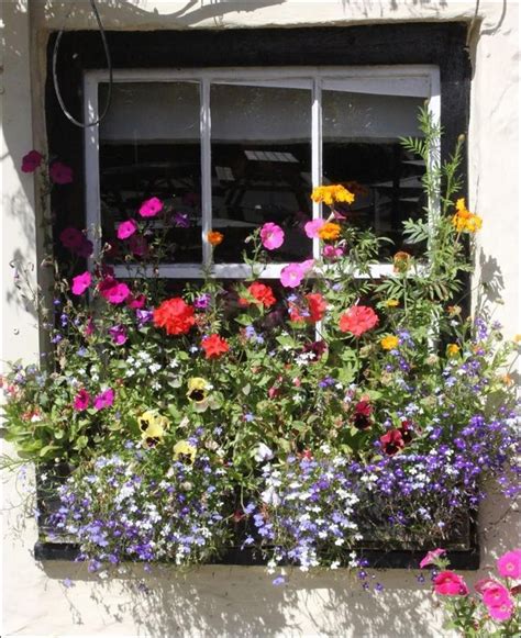 Collection 93 Pictures Pictures Of Window Boxes With Flowers Excellent