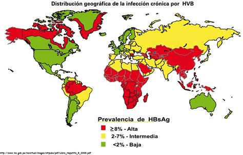 Hepatitis b is caused by infection with the hepatitis b virus. B Hepatitis - Empíreo Diagnóstico Molecular - Diagnosis of ...