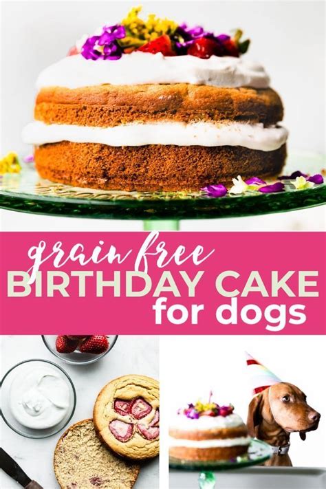 Dog birthday cake mix if you're pushed for time, a mix can be a great way to make a dog birthday cake. Grain Free Birthday Cake for Dogs | Recipe | Dog cake ...