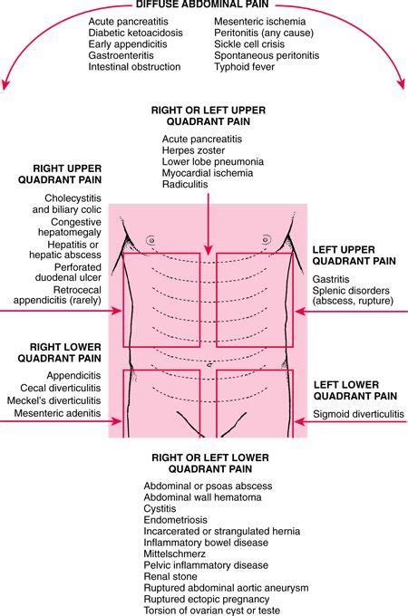 Whats In The Left Lower Quadrant Ovulation Symptoms