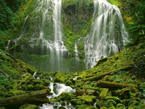 Willamette National Forest 640x480 Download Hd Wallpaper Wallpapertip