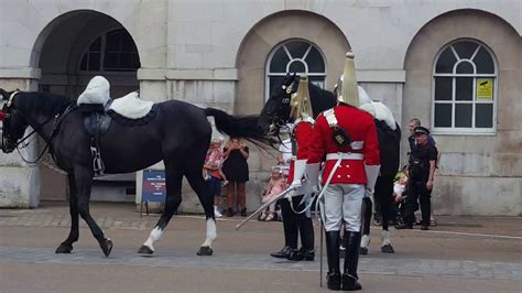 Life Guards Of The Household Cavalry At Horse Guards Youtube