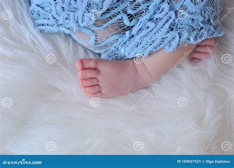 Baby Foot In Blue Blanket Stock Image Image Of Development 109027531