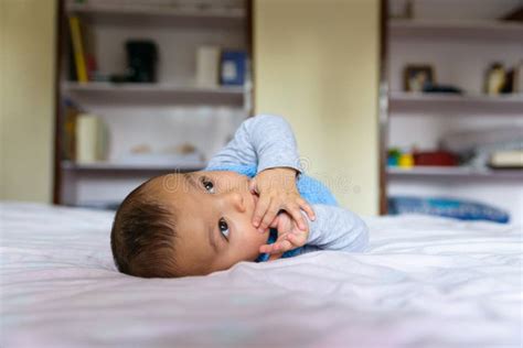 Eurasian Baby On Bed Stock Image Image Of Life Adorable 110926201
