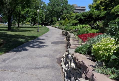 The white mass of flowers pictured above is from just one plant. Photo of the Week: Coventry Garden in Windsor, Ontario, Canada