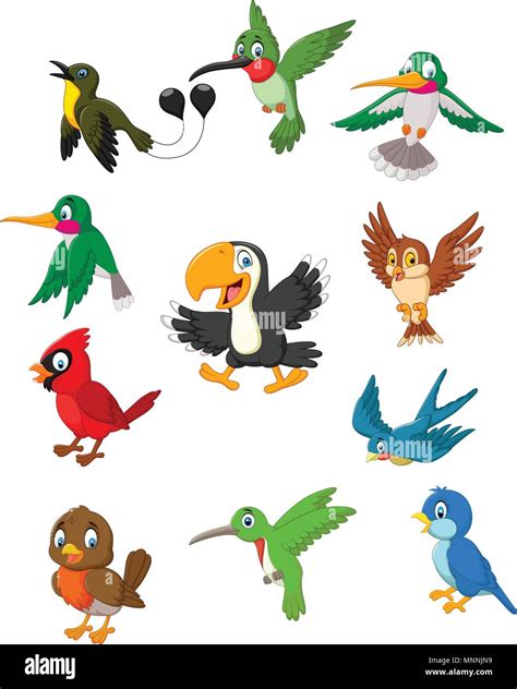 Conjunto De Colección De Pájaros De Dibujos Animados Imagen Vector De