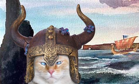 Viking Cat Banzai Viking Crazy Cats Vikings Cats