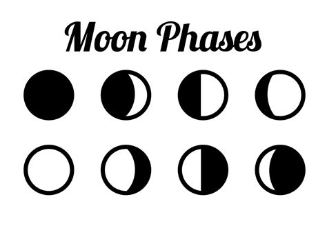 Phases Of The Moon Svg