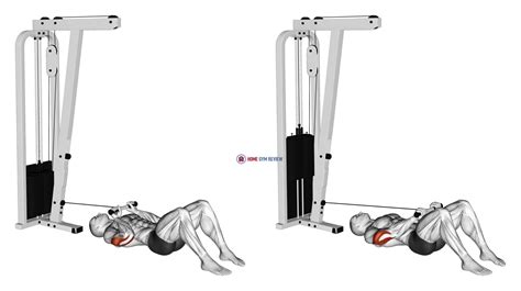 Cable Triceps Pushdown On Floor Home Gym Review