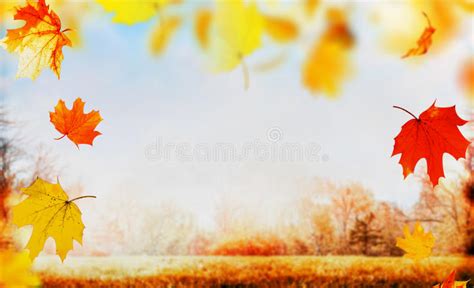 Листья осени падая стоковое изображение. изображение насчитывающей ...