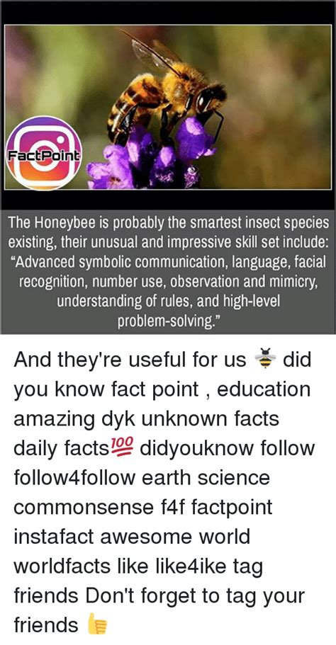 The Honeybee Is Probably The Smartest Insect Species Existing Their