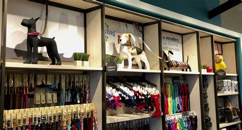 A Display Case With Dog Leashes And Collars On Its Shelves In A Store