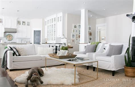 15 Design Tips For Living Room Png Minirebounderfreeshippingg