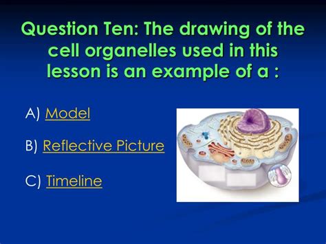 Ppt Cell Organelles Powerpoint Presentation Id1797613