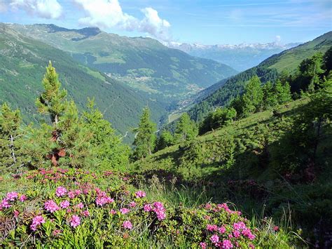 Da wir die meisten startplätze von 2020 auf 2021 «transferieren», bleiben nur noch 400 offene übrig. Blick nach Norden im Val d`Anniviers - Fotos hikr.org