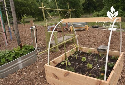Square foot gardening allows you to plant much closer. square foot garden Sustainable Food Center Central Texas ...