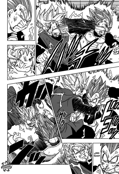 Setelah majin boo dikalahkan, bumi kembali damai dan goku bercocok tanam di sekitar kediamannya. Dragon Ball ZP: Dragon Ball Super 20 (Manga)