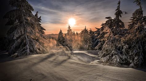 Mountain With Trees Covered With White Snow During Sunrise