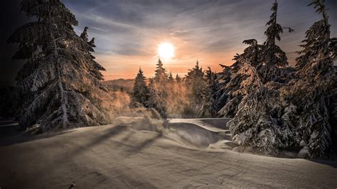 Mountain With Trees Covered With White Snow During Sunrise Hd Winter