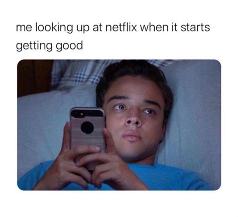 50 Hysterical Memes About Netflix That Made Me Holler For About 10