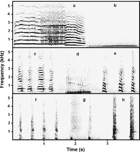 Spectrogram Illustrating Call Types Produced Toward People By Silver