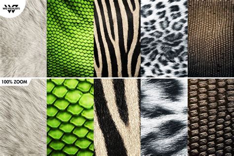 15 Animal Textures Animal Texture Texture Unique Animals