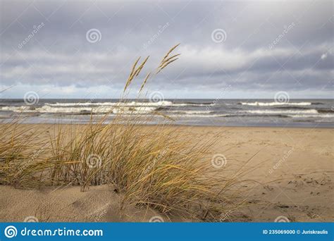Grass Sand Dune Beach Sea View Baltic Sea Stock Photo Image Of