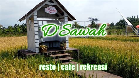 Dsawah Resto Cafe Rekreasi Sensasi Makan Ditengah Sawah Youtube