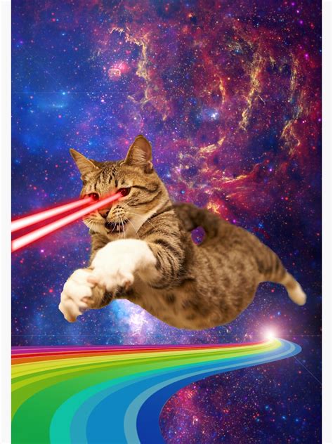 Laser Cat In Space Sticker By Mickeyremnant Redbubble