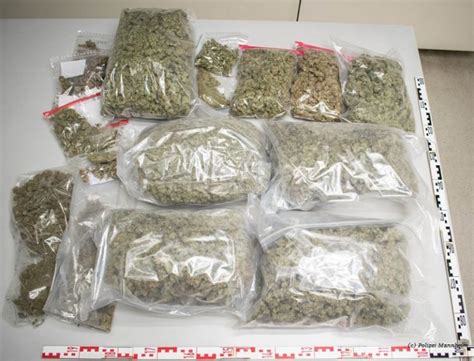 Das sind gerüche die tauchen eben auf, solange das rauchen in der wohnung nicht verboten ist. Mannheim: Marihuana-Geruch aus der Wohnung verriet 26 ...