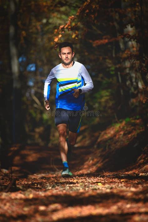Professional Runner In The Woods During A Workout Stock Photo Image