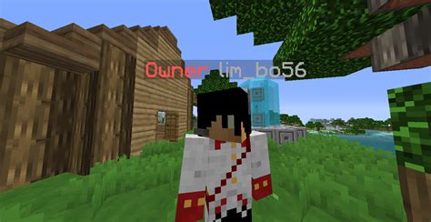 Now, after putting the name tag, write your desired name in the box. Resource - Change player's name tag | SpigotMC - High ...