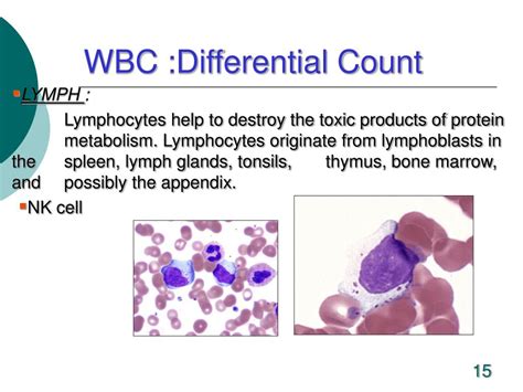 Ppt Hematology Studies And Lab Reports Powerpoint Presentation Free