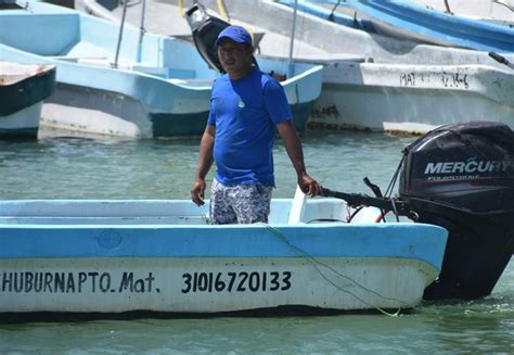 La Pesca De Pulpo En Yucatán Continúa Dejando Ganancias