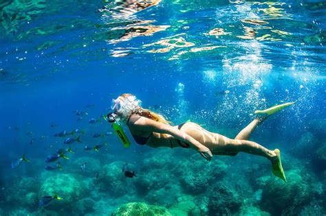 Apr 21, 2015 · if you live in the west, particularly in california, where gov. Ingenious hand-pumped Scorkl lets you breathe underwater ...