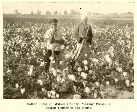 Picking Cotton Black Wide Awake