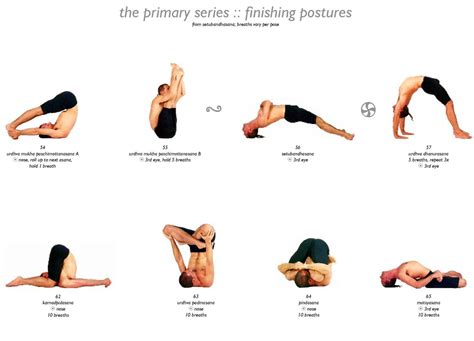 Types Of Asanas In Yoga