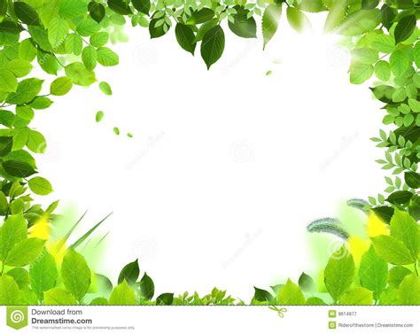 Natural Frame Clipart 20 Free Cliparts Download Images On Clipground 2022
