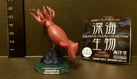 Rare Kaiyodo Aquarium Exclusive Deep Sea Giant Colossal Squid Figure Ebay