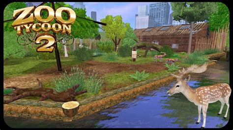 Animal Rescue Zoo Zoo Tycoon 2 Ultimate Collection Zoo Buildling