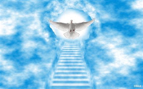 Stairway To Heaven Heaven God Dove Hd Wallpaper Peakpx