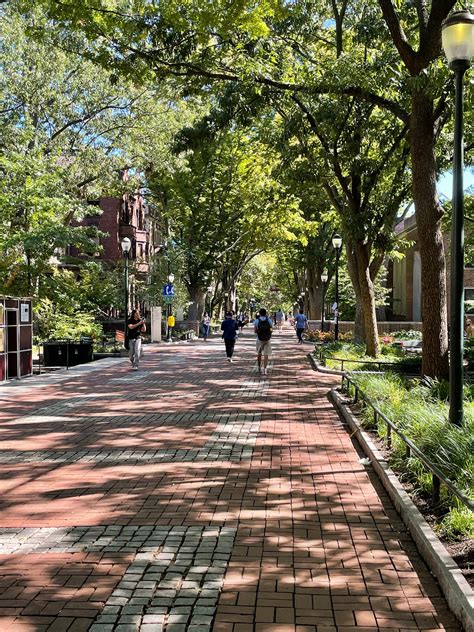 UPenn MSE Data Science 就讀心得. 前言 | by Yung-Tang Chou | Medium