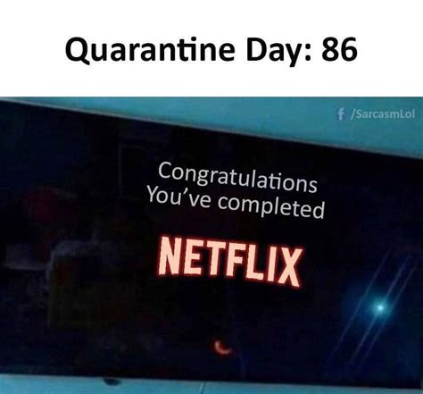 46 Netflix Memes Which Hit Differently If You Spend Your Life Watching