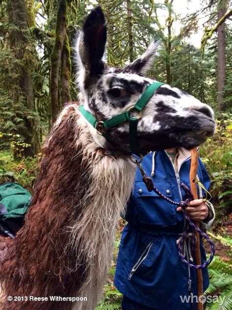 Reese Witherspoon My Costar Today Dramaticllama Gettingwild On The Set Of Wild Wild Movie