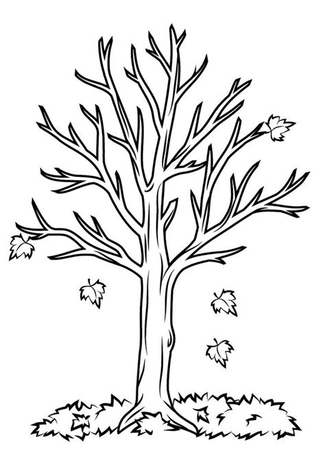 Bare Tree Coloring Page Easy Tree Coloring Page Fall Coloring Pages