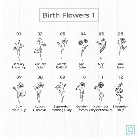 The Birth Flowers Chart Is Shown In Black And White