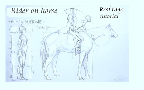 Horseback Riding Drawing Reference Peepsburghcom